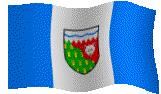nt-flag1.gif (30314 bytes)