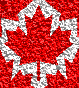 back2_wp.gif (2765 bytes)