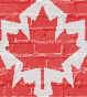 back3_wp.gif (3332 bytes)