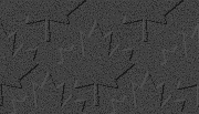 bgrnd_leaf_darkgrey.gif (5938 bytes)