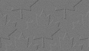 bgrnd_leaf_grey.gif (5983 bytes)