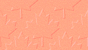 bgrnd_leaf_red.gif (5170 bytes)