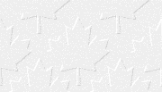 bgrnd_leaf_white.gif (4376 bytes)