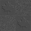check.gif (9663 bytes)