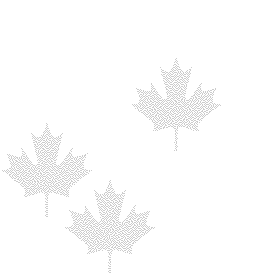tile.gif (3161 bytes)