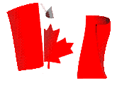1.gif (2649 bytes)